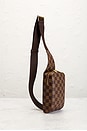 view 4 of 8 SAC LOUIS VUITTON in Brown
