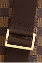 view 7 of 8 SAC LOUIS VUITTON in Brown