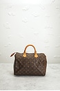 view 3 of 9 SAC LOUIS VUITTON in Brown