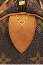 view 6 of 9 SAC LOUIS VUITTON in Brown