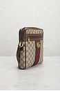 view 4 of 9 BOLSO GUCCI in Beige