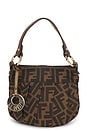view 1 of 8 SAC FENDI in Brown