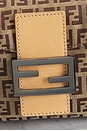 view 6 of 8 SAC FENDI in Brown