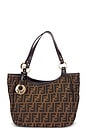 view 1 of 8 SAC FENDI in Brown