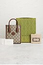 view 8 of 8 SAC GUCCI in Neutral