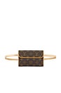 view 1 of 9 SAC LOUIS VUITTON in Brown