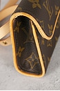 view 9 of 9 SAC LOUIS VUITTON in Brown