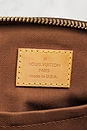 view 5 of 9 BOLSO LOUIS VUITTON in Brown