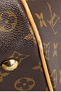 view 9 of 9 BOLSO LOUIS VUITTON in Brown