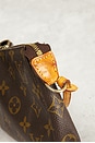 view 5 of 9 SAC PORTÉ ÉPAULE LOUIS VUITTON in Brown