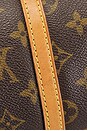 view 7 of 9 BOLSO LOUIS VUITTON in Brown