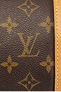 view 9 of 9 BOLSO LOUIS VUITTON in Brown