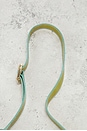 view 8 of 9 Gucci Pochette Shoulder Bag in Blue