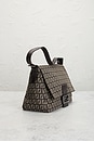view 4 of 8 SAC FENDI in Brown