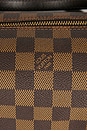 view 6 of 9 SAC LOUIS VUITTON in Brown