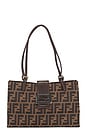 view 1 of 9 SAC FENDI in Brown
