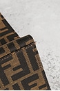 view 9 of 9 SAC FENDI in Brown