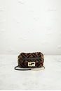 view 2 of 9 SAC FENDI in Brown