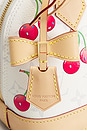 view 7 of 9 BOLSO LOUIS VUITTON in White