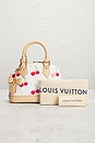 view 10 of 9 BOLSO LOUIS VUITTON in White