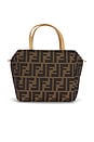 view 1 of 7 SAC FENDI in Brown