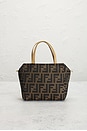 view 2 of 7 SAC FENDI in Brown