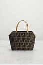 view 3 of 7 SAC FENDI in Brown