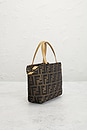 view 4 of 7 SAC FENDI in Brown