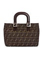 view 1 of 9 SAC FENDI in Brown