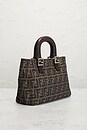 view 4 of 9 SAC FENDI in Brown