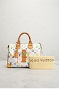 view 9 of 9 SAC LOUIS VUITTON in White
