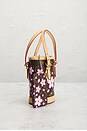 view 5 of 8 SAC LOUIS VUITTON in Sakura Brown