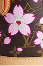 view 7 of 8 SAC LOUIS VUITTON in Sakura Brown