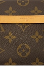 view 7 of 8 SAC LOUIS VUITTON in Brown