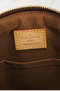 view 6 of 9 BOLSO LOUIS VUITTON in Brown