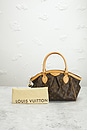 view 10 of 9 BOLSO LOUIS VUITTON in Brown