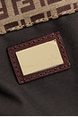 view 6 of 9 SAC FENDI in Brown