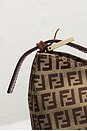 view 9 of 9 SAC FENDI in Brown