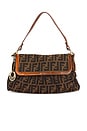 view 1 of 8 SAC FENDI in Brown