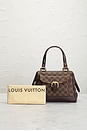 view 10 of 9 BOLSO LOUIS VUITTON in Brown