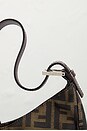view 9 of 8 SAC FENDI in Brown