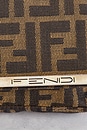 view 7 of 9 BOLSO FENDI in Brown