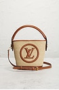 view 2 of 8 Louis Vuitton Raffia Petite Bucket NM Bag in Brown