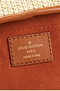 view 6 of 8 Louis Vuitton Raffia Petite Bucket NM Bag in Brown