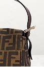 view 8 of 8 SAC FENDI in Brown