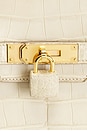 view 6 of 8 Hermes Matte Alligator Birkin 30 Handbag in Beton