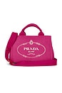 view 1 of 10 SAC PRADA in Pink