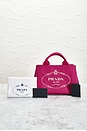 view 11 of 10 SAC PRADA in Pink