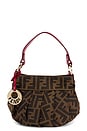 view 1 of 8 SAC FENDI in Brown