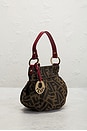 view 5 of 8 SAC FENDI in Brown
